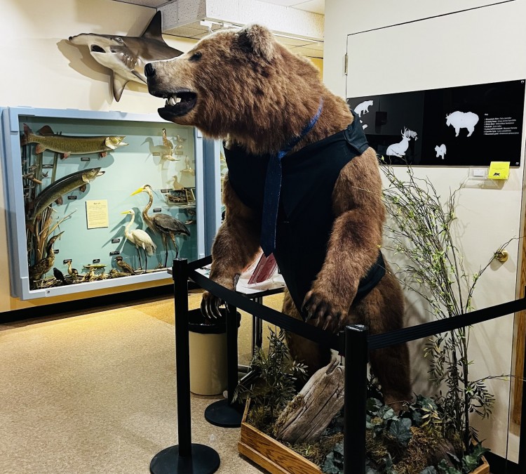 UWSP Museum of Natural History (Stevens&nbspPoint,&nbspWI)